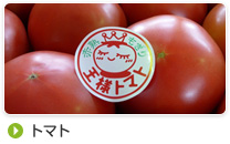 トマト
