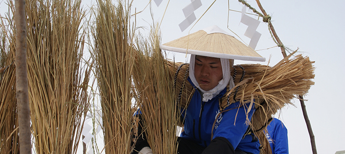 雪中田植え